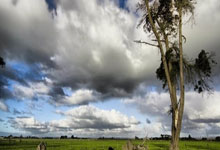 热火三分爆破，击溃对手赢得比赛