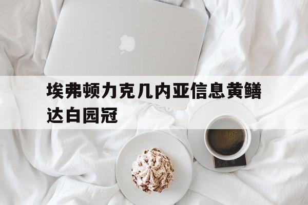 埃弗顿力克几内亚信息黄鳝达白园冠的简单介绍